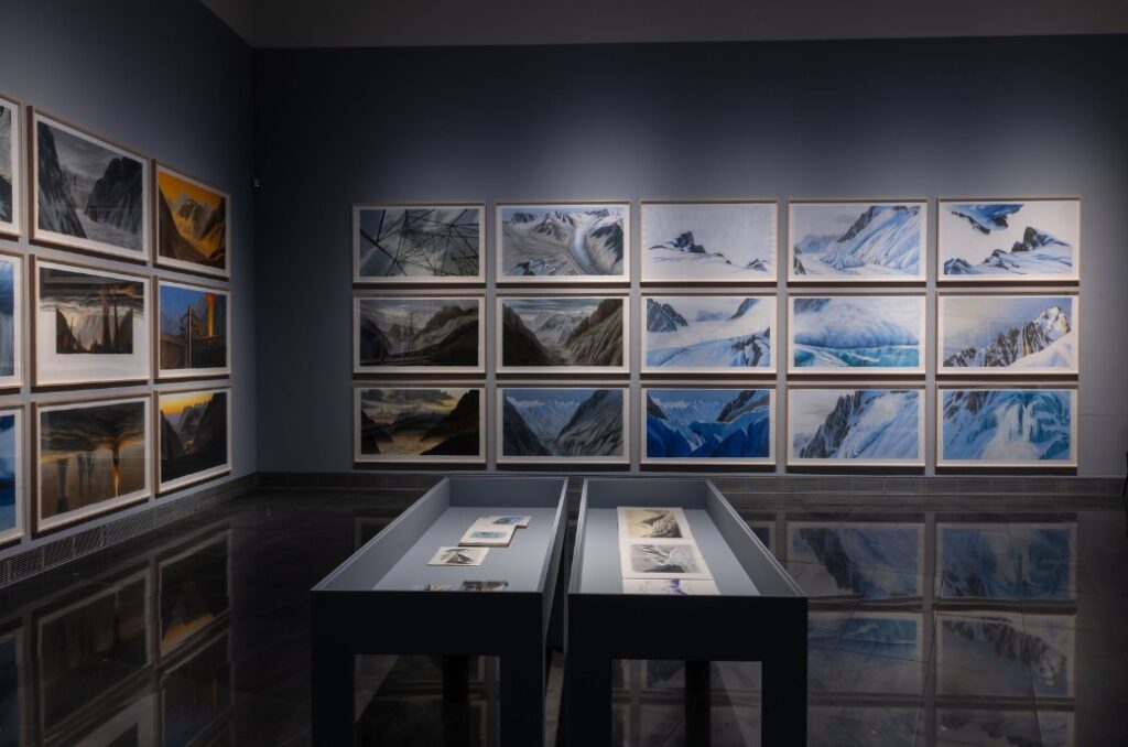 Natura fuggitiva. Jesus Mari Lazkano. Museo dell'Università di Navarra