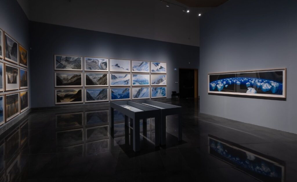 Natura fuggitiva. Jesus Mari Lazkano. Museo dell'Università di Navarra