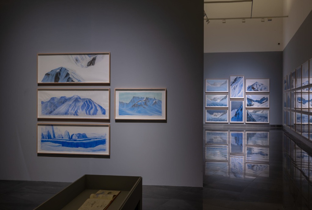 Natura fuggitiva. Jesus Mari Lazkano. Museo dell'Università di Navarra