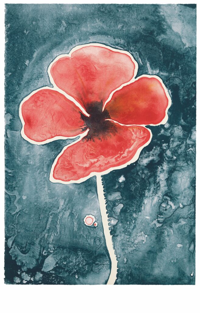 Ruth Asawa. Amapola, 1965. Museo d'Arte Moderna, New York