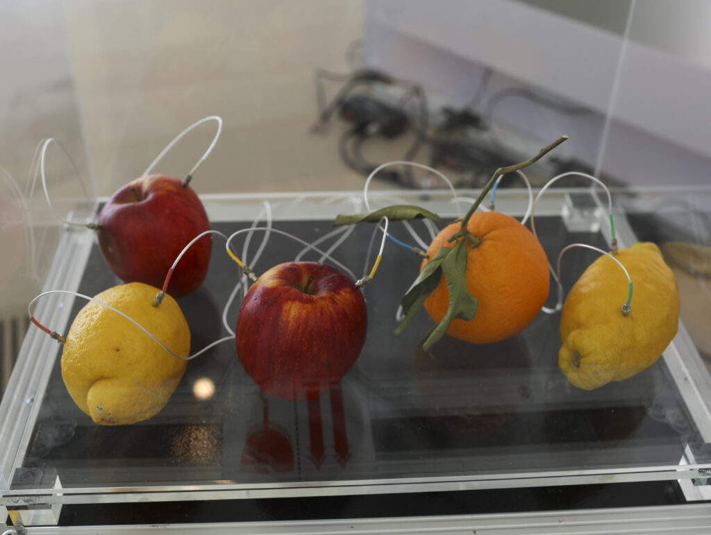 Decomposizione di Yuko Mohri, 2021-in corso