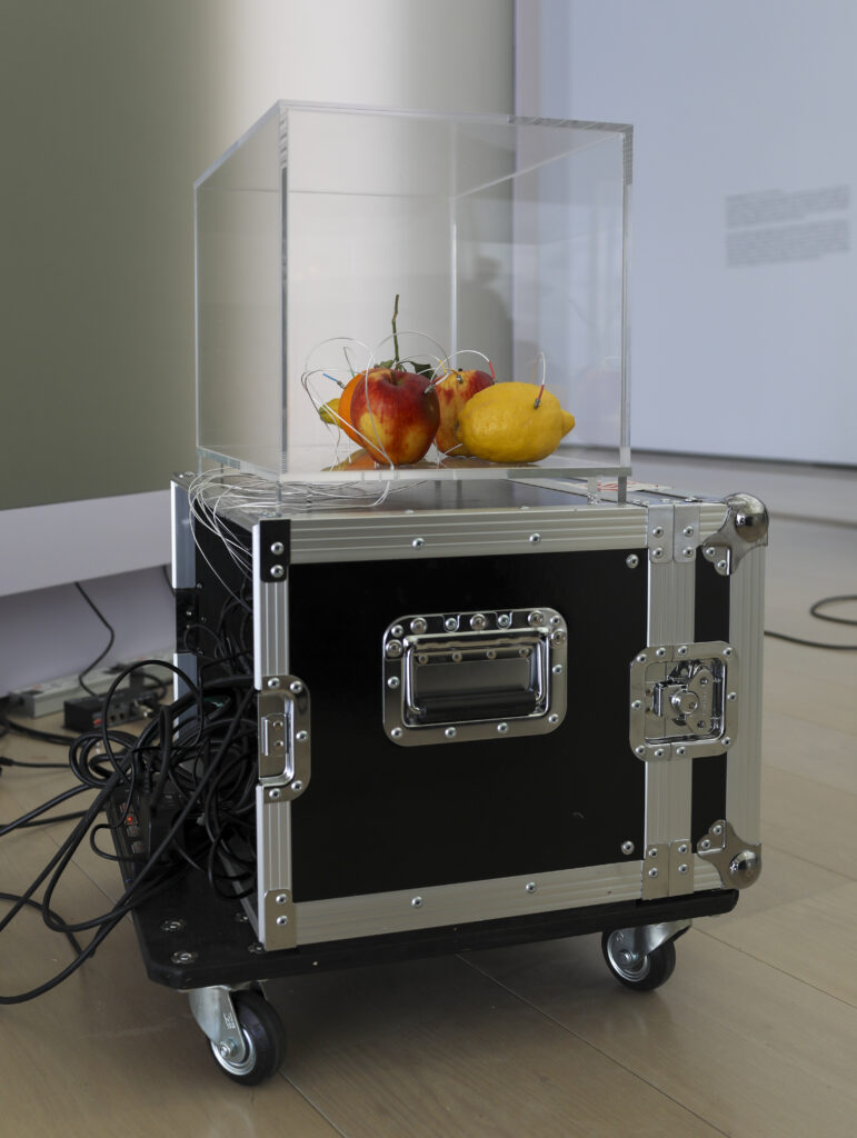 Yuko Mohri. Decomposizione, 2021-in corso. Fotografia: Belén de Benito