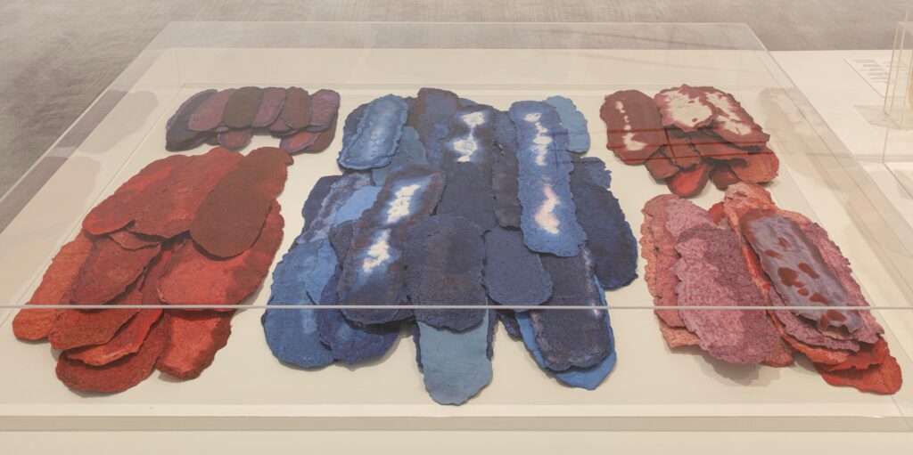 Aurèlia Muñoz, Elementi per opere su carta, 1986