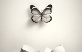 Chema Madoz e la realtà malleabile: fotografia e surrealismo visivo