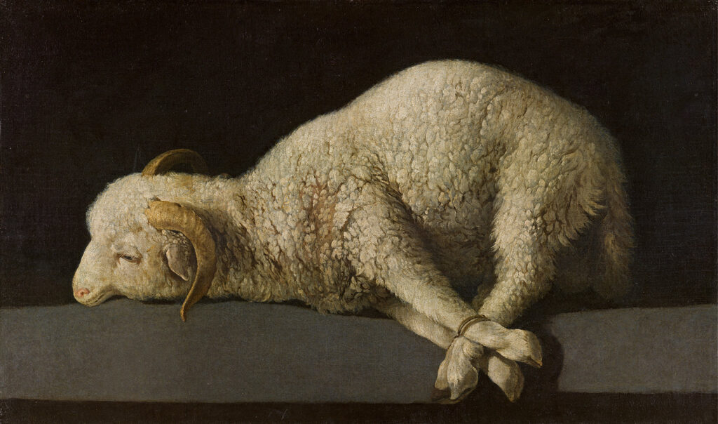 Zurbaran. Agnus Dei, 1635-1640 circa. Museo Nazionale del Prado