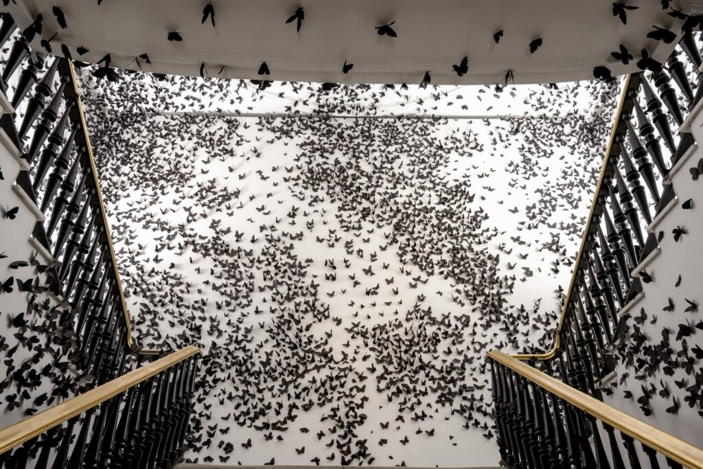 Carlos Amorales. Nuvola nera. Fondazione Casa de México di Madrid