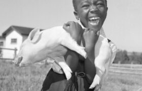 Jurgen Schadeberg: violenza e inquietudine in Sudafrica