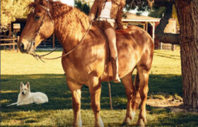 Altre Sei Canzoni Arricchiscono «Little Miss Twain» di Shania Twain